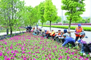 素博会