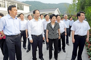 石泰峰在湖父镇张阳村视察