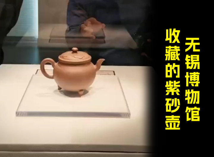 无锡博物院收藏的紫砂壶，你知道几款？视频