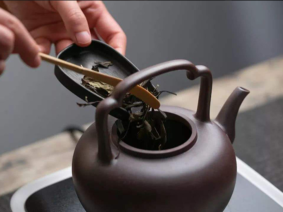 投茶 投茶