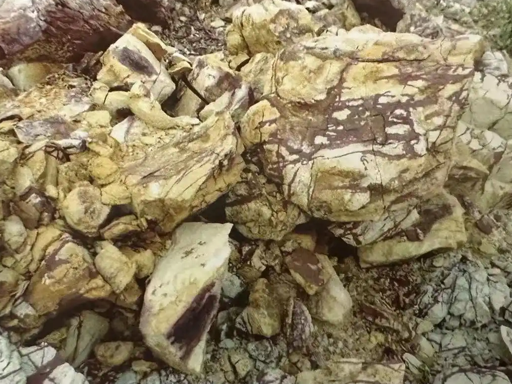 象牙血砂段泥