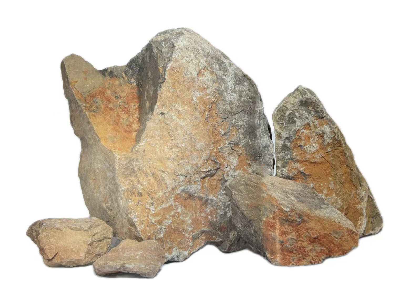 黄金段泥简介