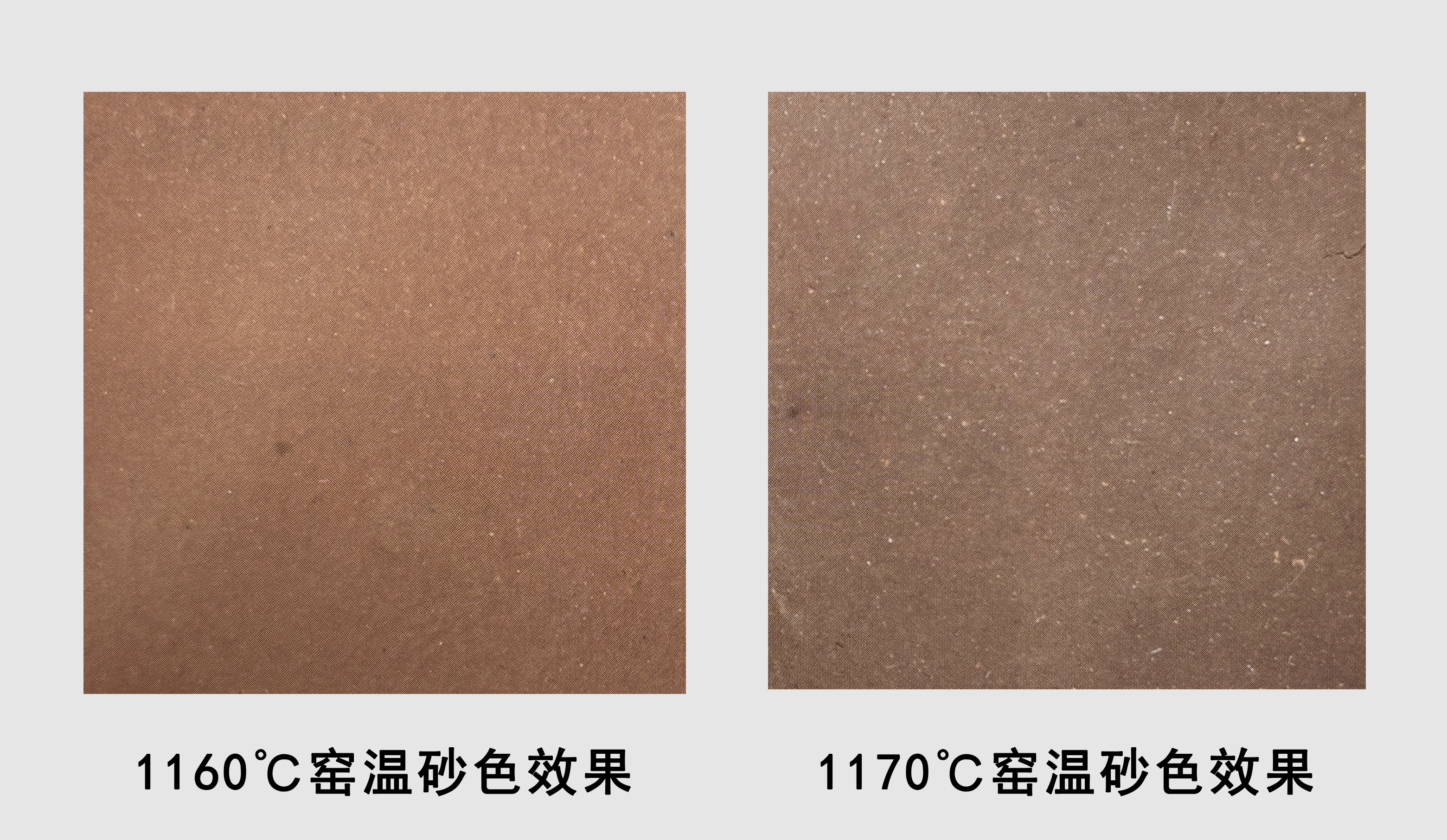 莲子红红泥