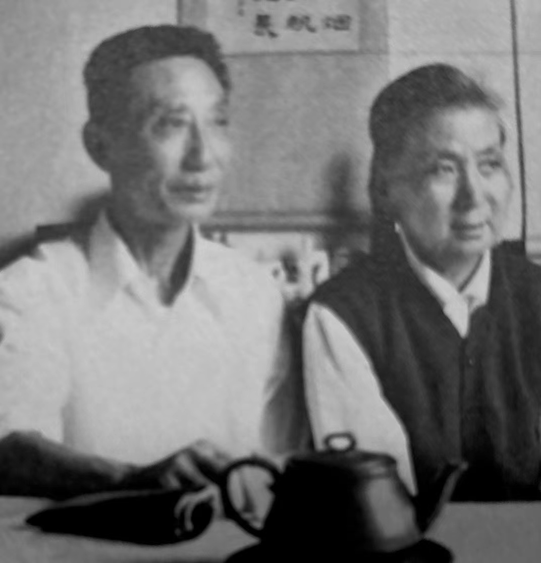 顾景舟徐义宝