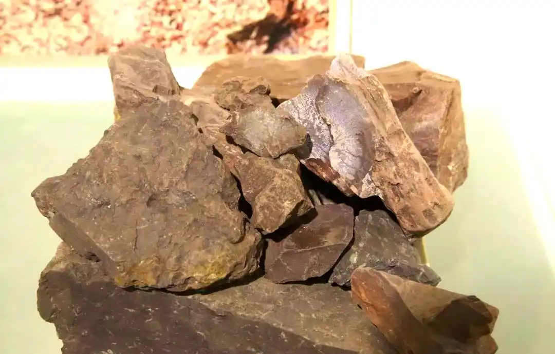 红皮龙