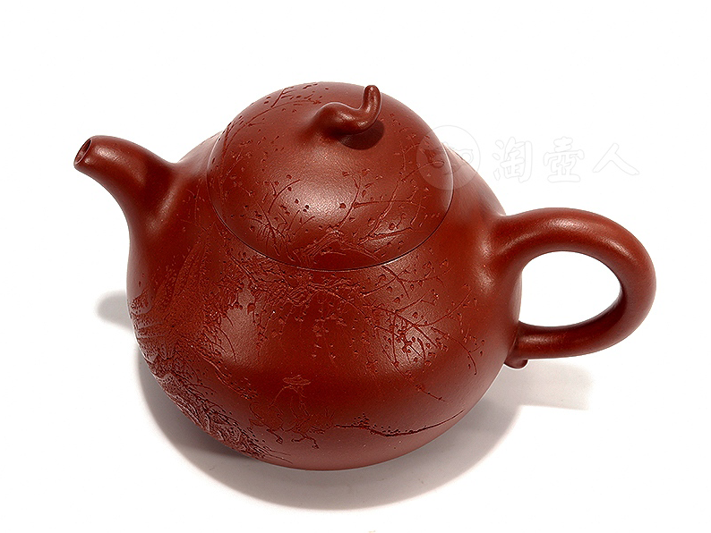 姚婷紫砂壶