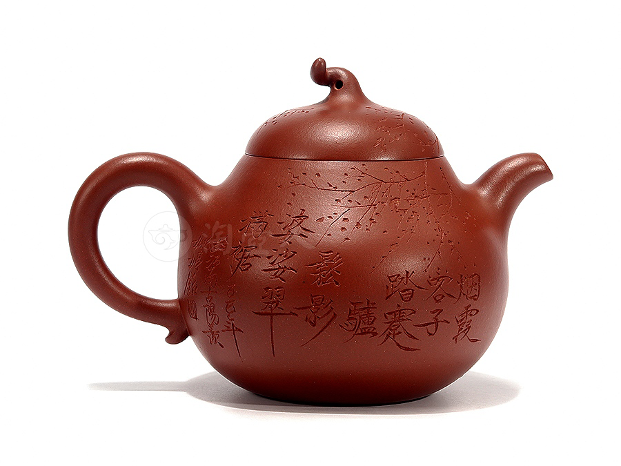 姚婷紫砂壶