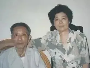 顾景舟张红华