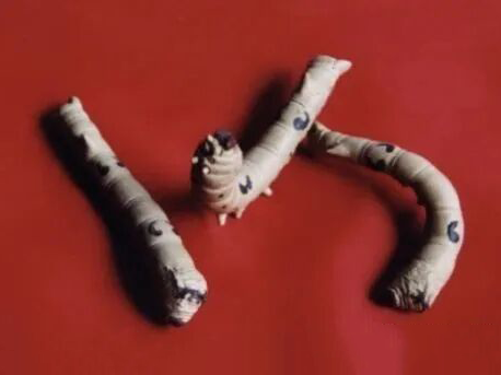 裴石民紫砂蚕 裴石民紫砂蚕