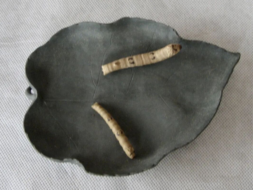 裴石民紫砂蚕 裴石民紫砂蚕