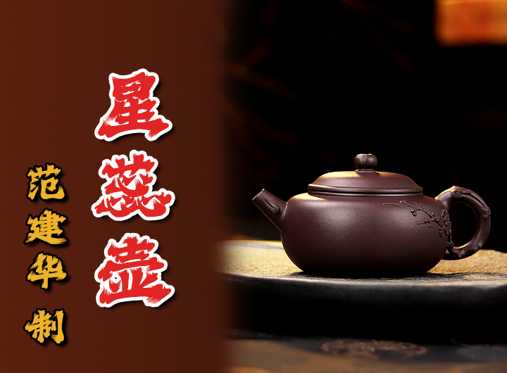 范建华紫砂壶《星蕊》鉴赏