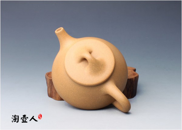 中石瓢