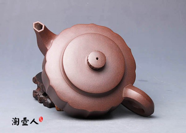 锦葵