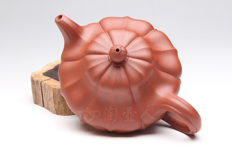 筋纹合菱