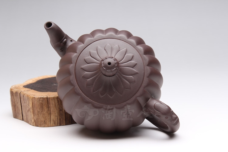 矮龙腾