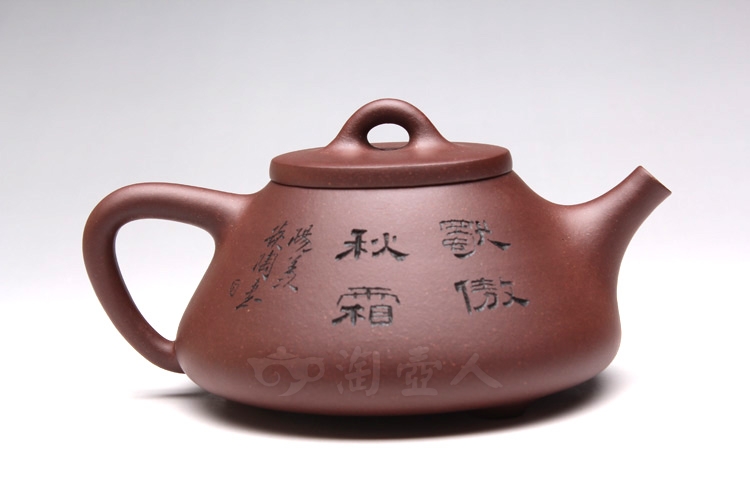 石瓢之菊