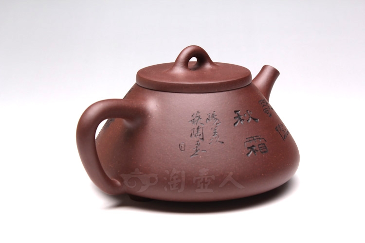 石瓢之菊