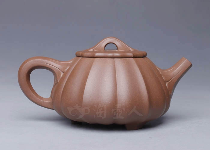 筋纹石瓢