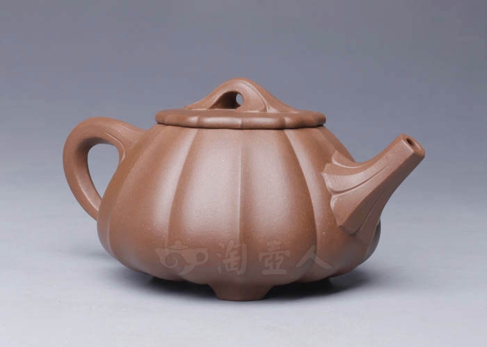 筋纹石瓢
