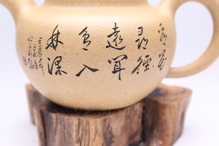 寿珍掇球