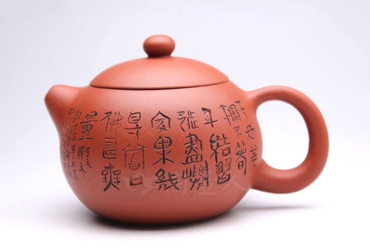 红泥西施(毛栗)