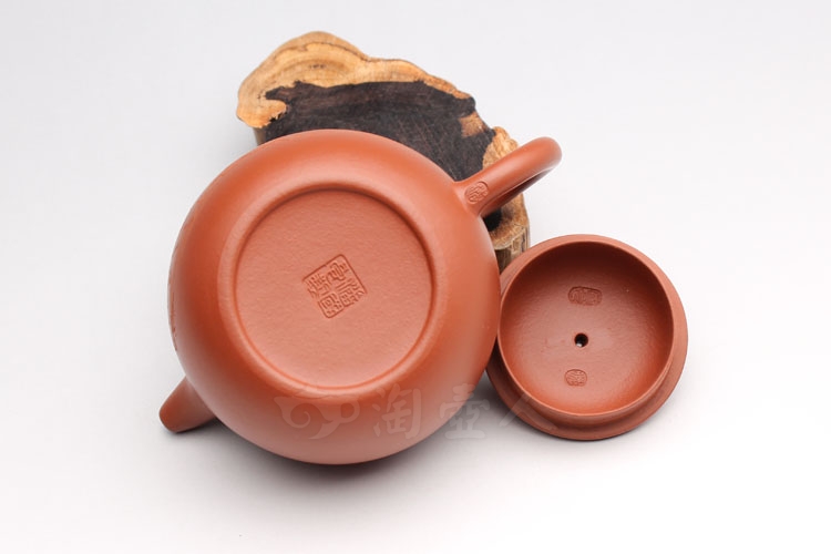 鲍珍