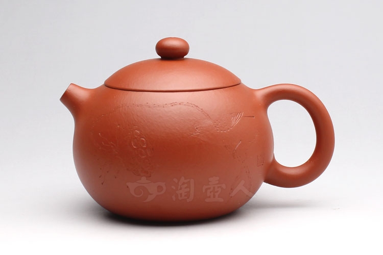 朱泥西施(莲藕小鸟)