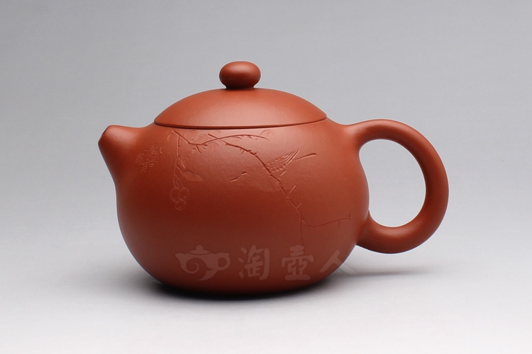 朱泥大西施(小鸟)