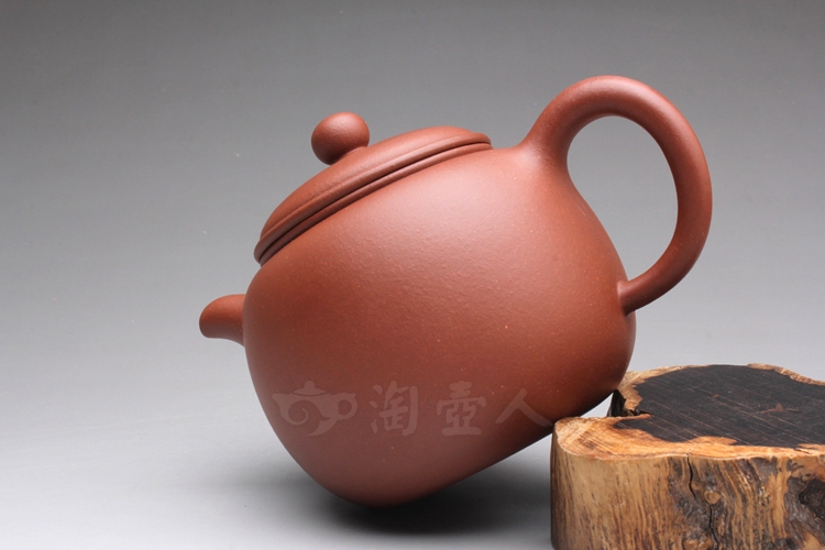 匏尊