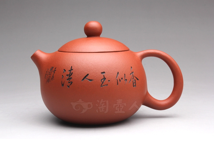 红泥小西施(兰草)