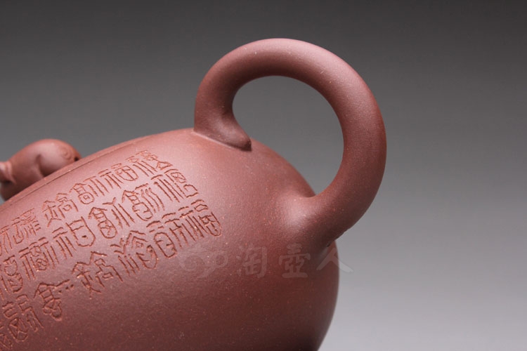 金猪纳福