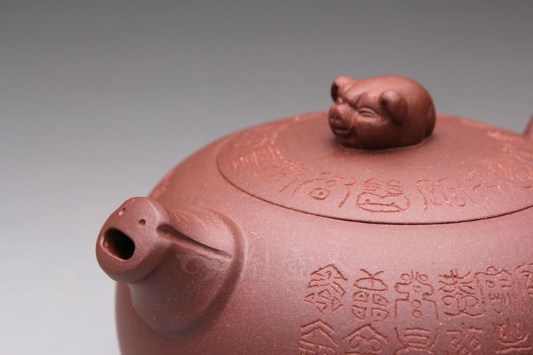 金猪纳福