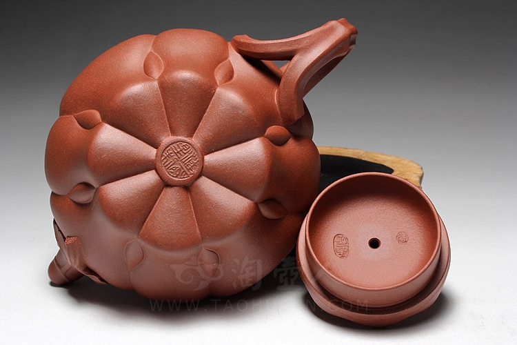 莲花仙子