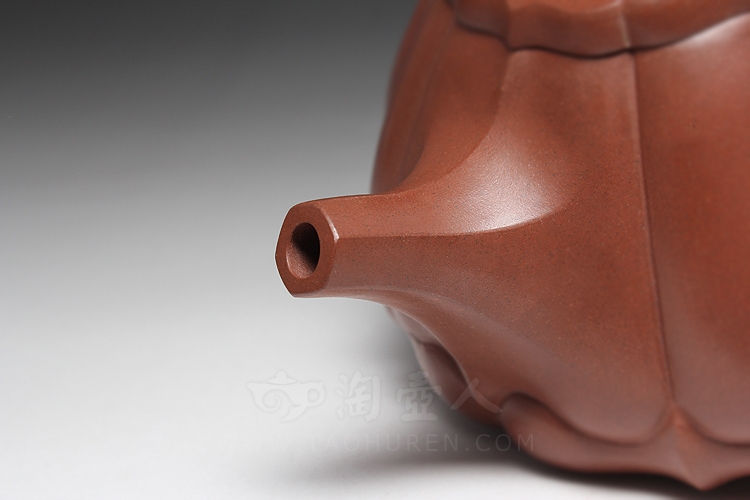 筋纹石瓢