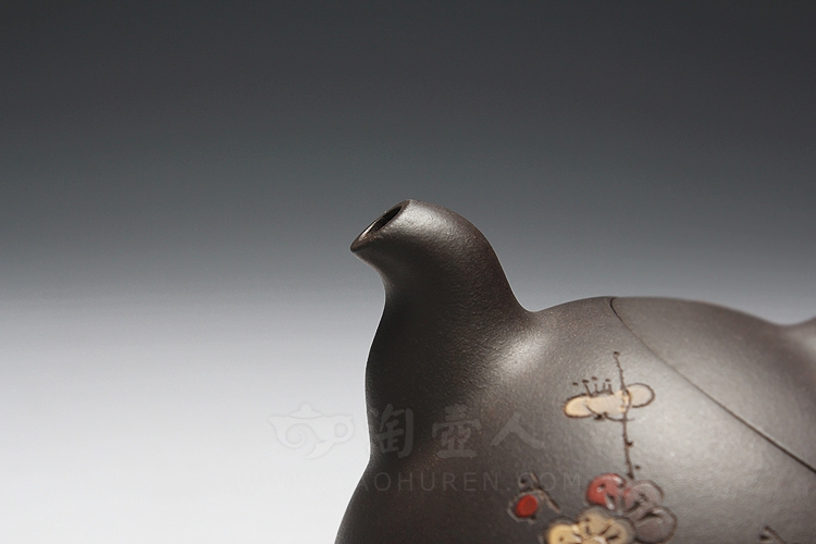 缘聚