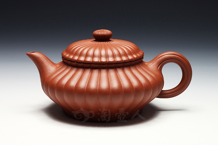 筋纹虚扁