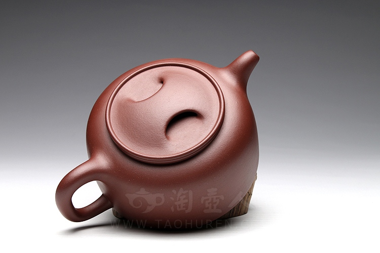牛盖