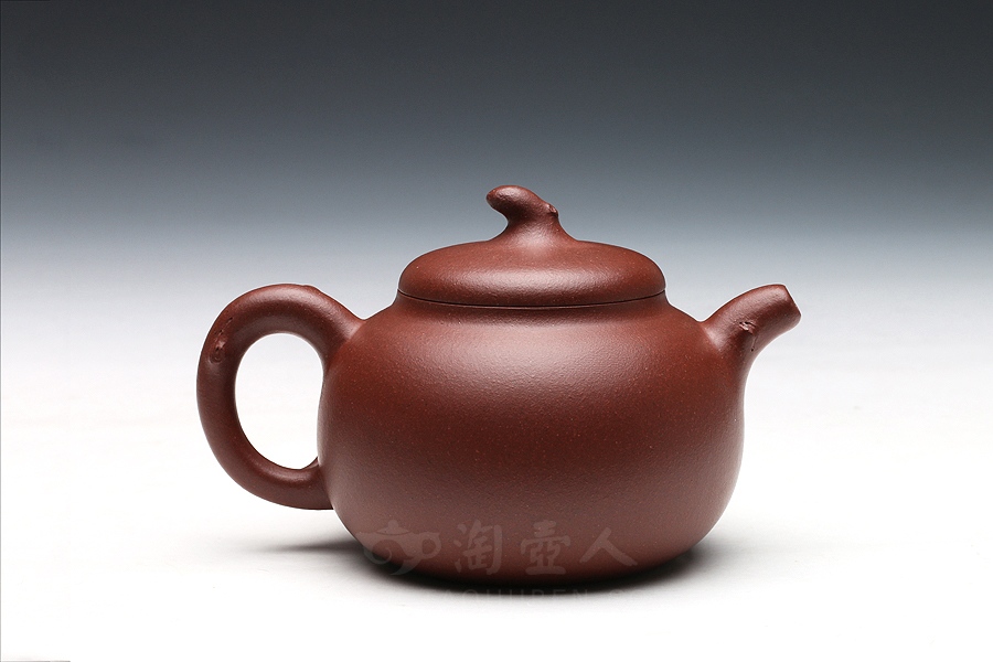 玉兰(小)