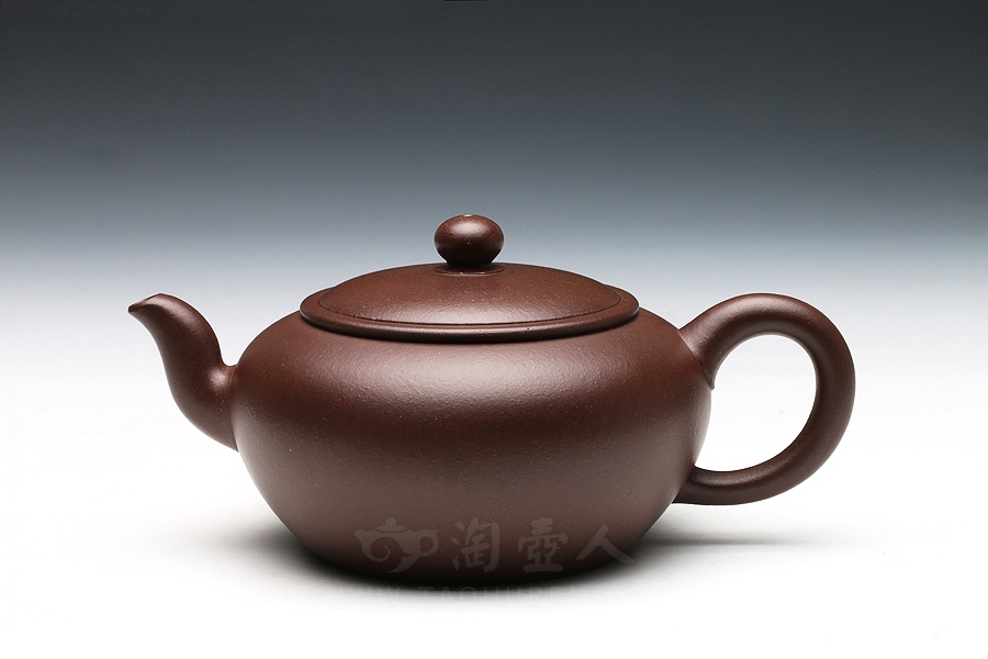 瞻远