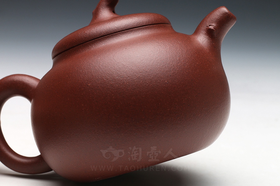 玉兰(小)