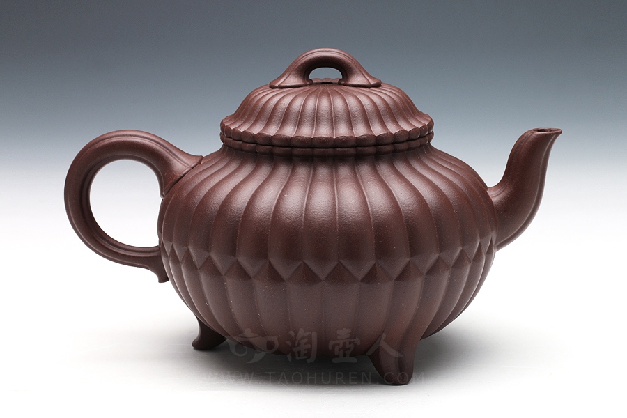 三丁合菊(中)