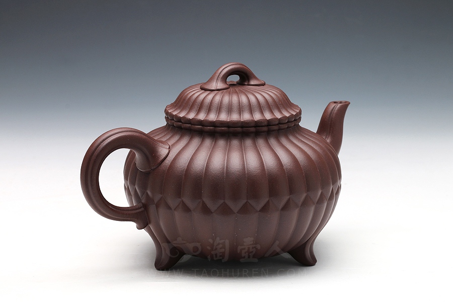 三丁合菊(中)