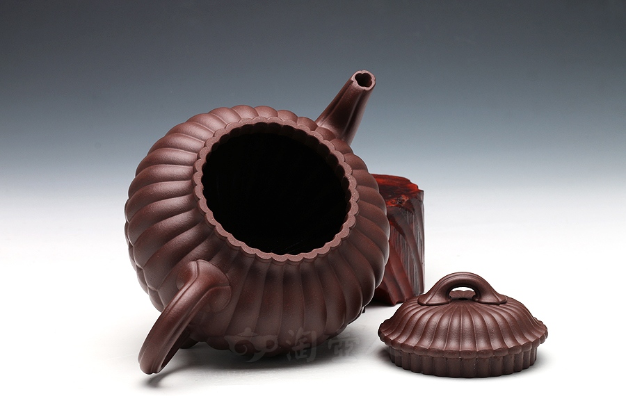 三丁合菊(中)