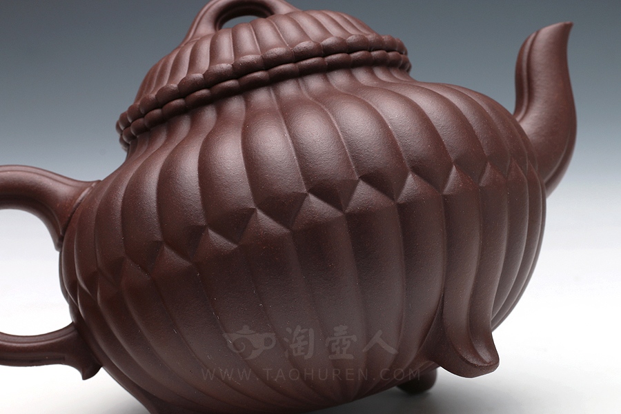 三丁合菊(中)