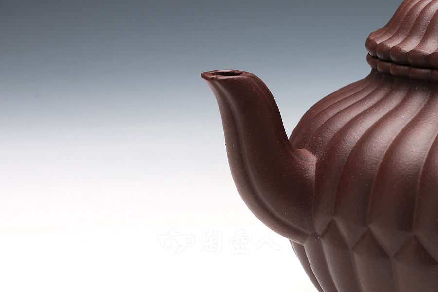 三丁合菊(中)