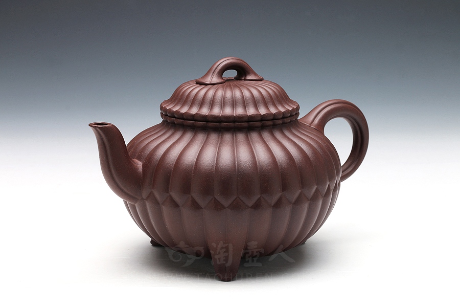 三丁合菊(中)