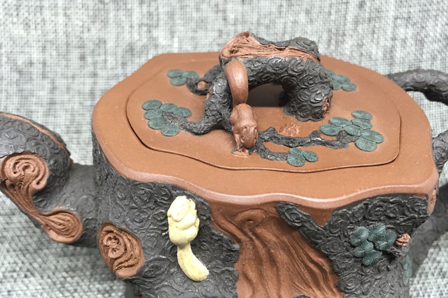 金钱松