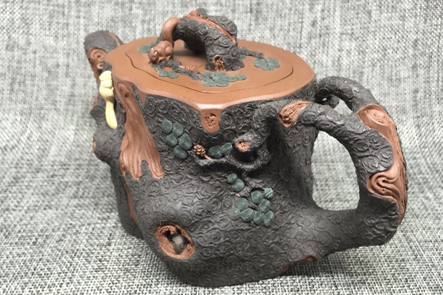 金钱松