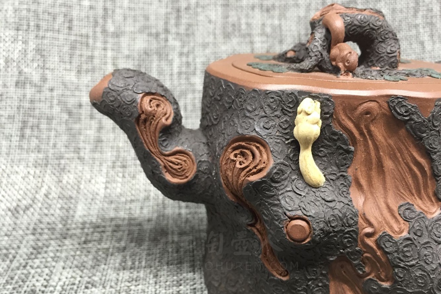 金钱松