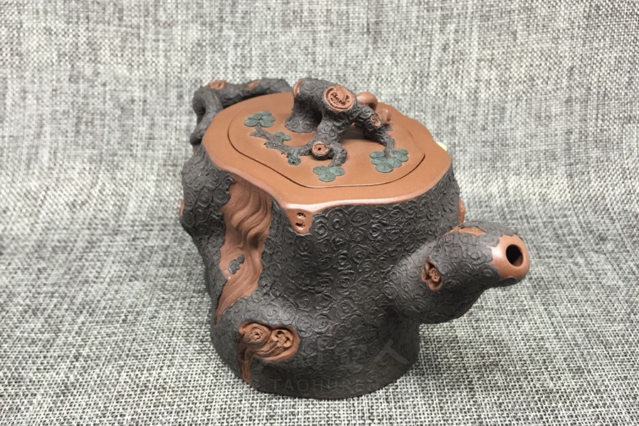 金钱松